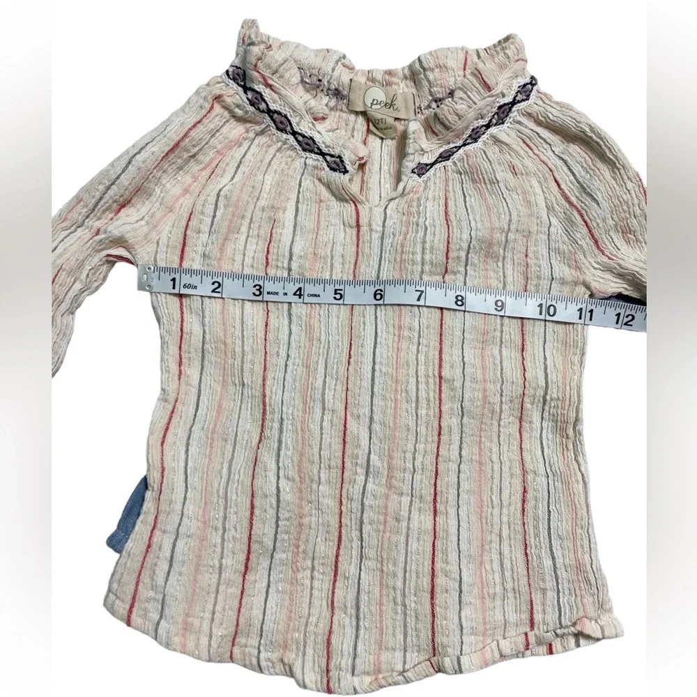 Long sleeve Shirts Peek stripe metallic top 2T , & Carter blue ruffle top 3T